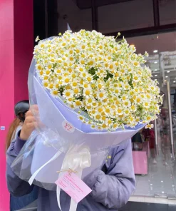Yểu Điệu - SSBHSN56