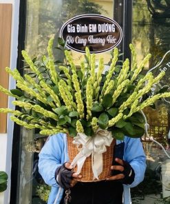 Giỏ hoa chia buồn - SSGHTL16