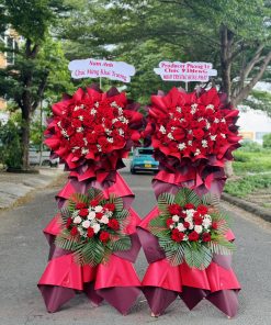 Lẵng Hoa Khai Trương hiện đại SSKHKT110